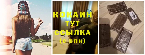 mdpv Бородино