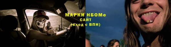 mdpv Бородино
