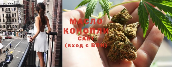 mdpv Бородино