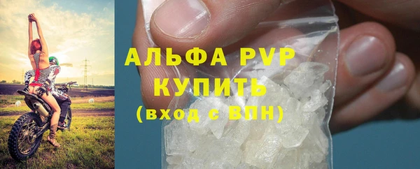mdpv Бородино